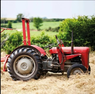 Vintage Massey Ferguson Tractor Blank Card