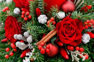Christmas Flowers 2025