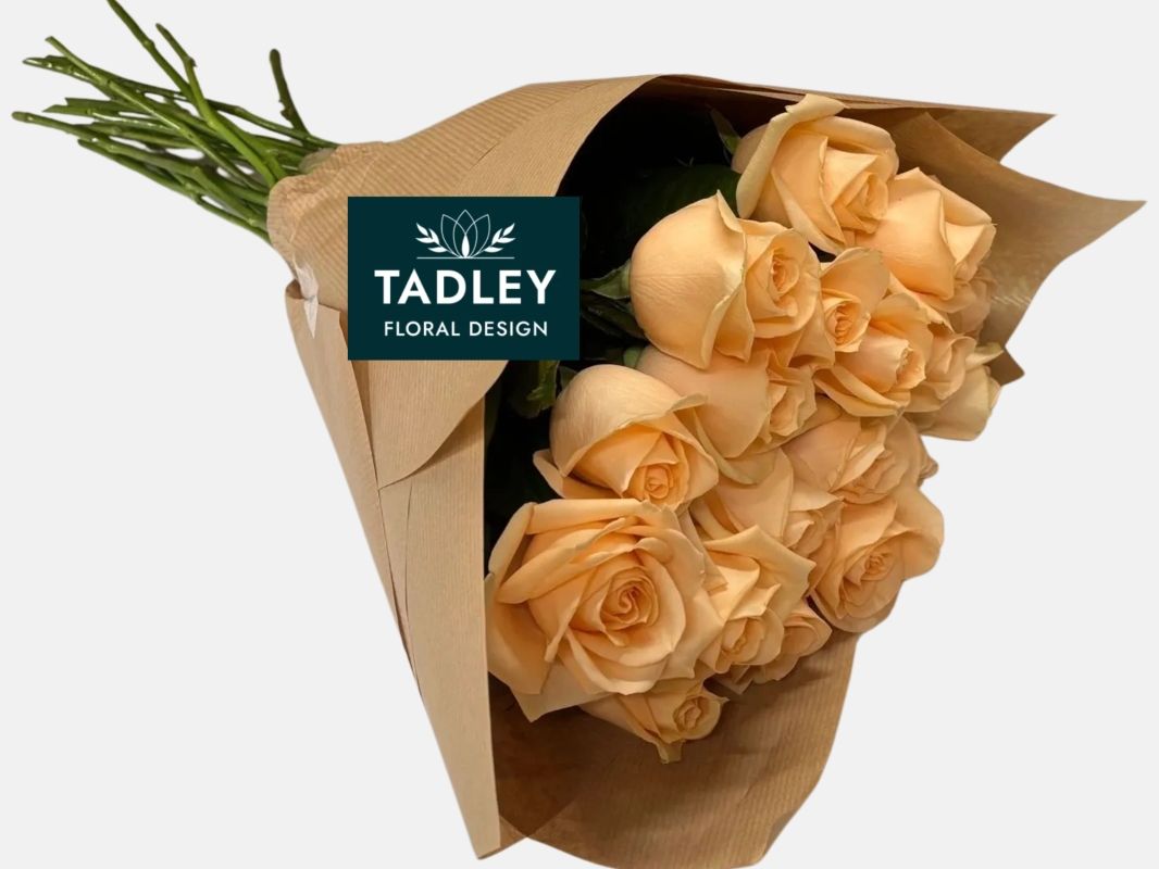 Single Stem Rose