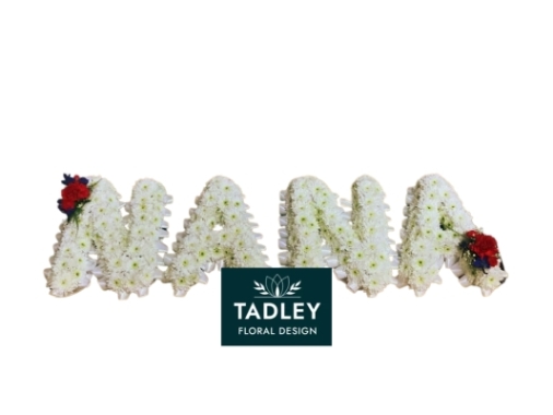 NANA Letters
