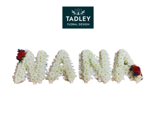 NANA Letters