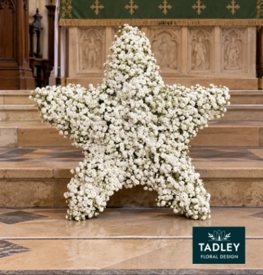 White Gypsophila Star